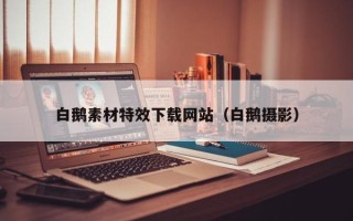 如皋白鹅素材特效下载网站（白鹅摄影）